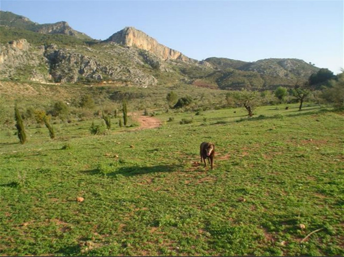 Property main view 20