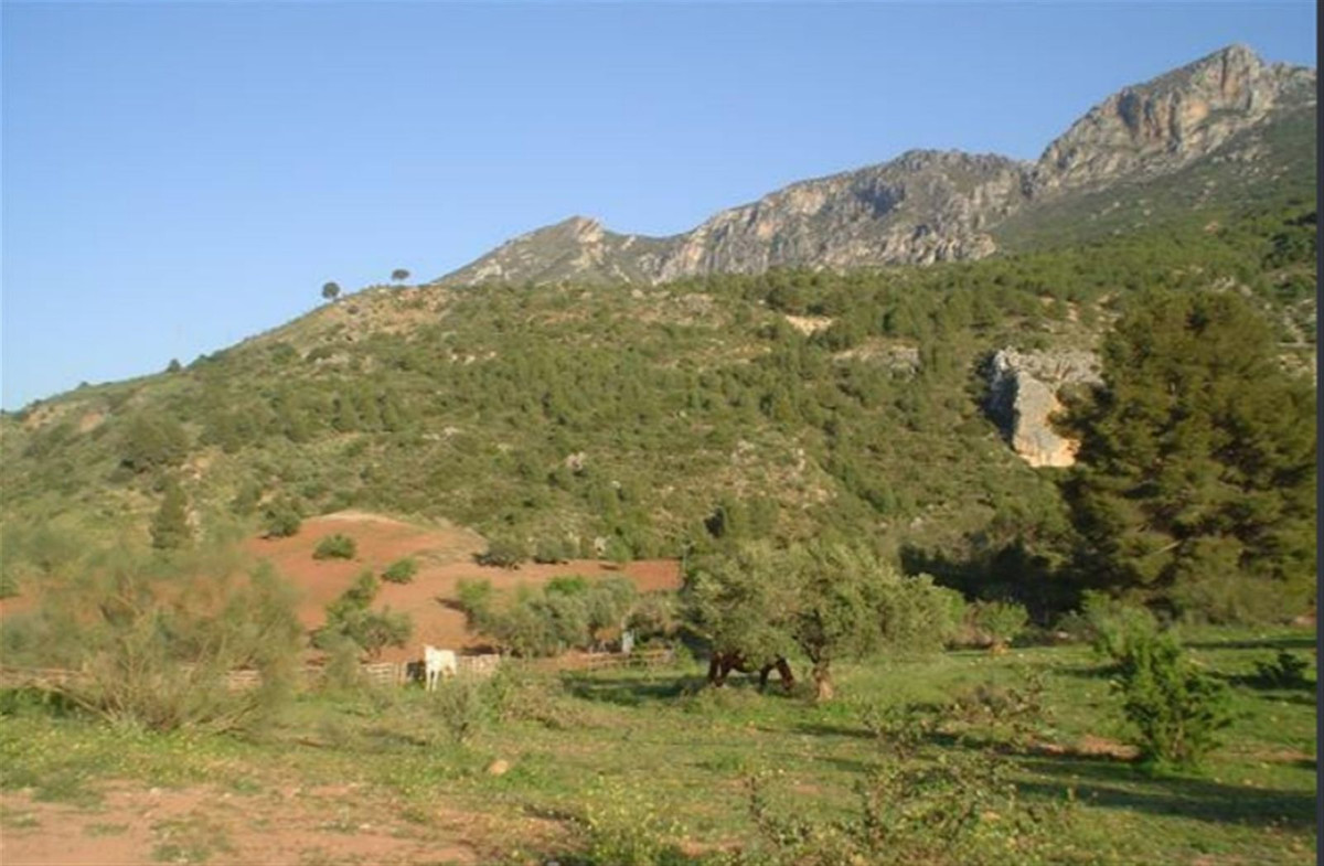 Property main view 21