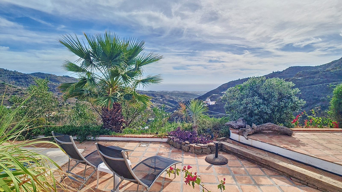 Property main view 42