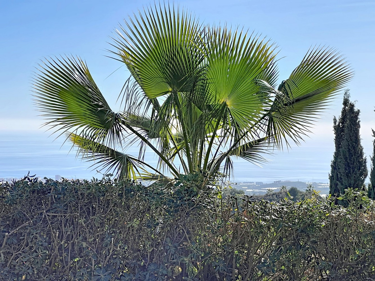 Vrijstaande Villa te koop in Arenas | 3 slaapkamers H5299021