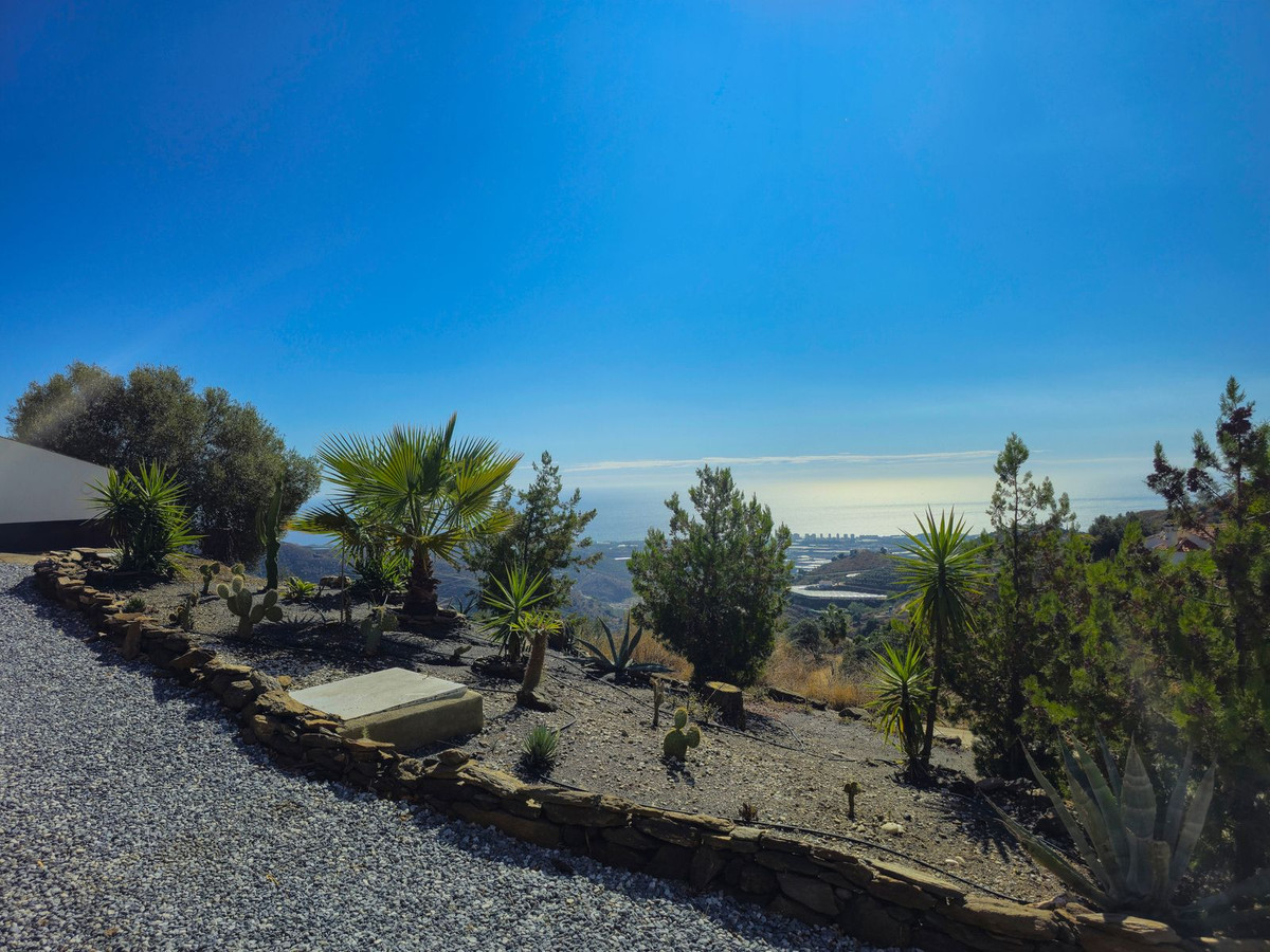 Property main view 50