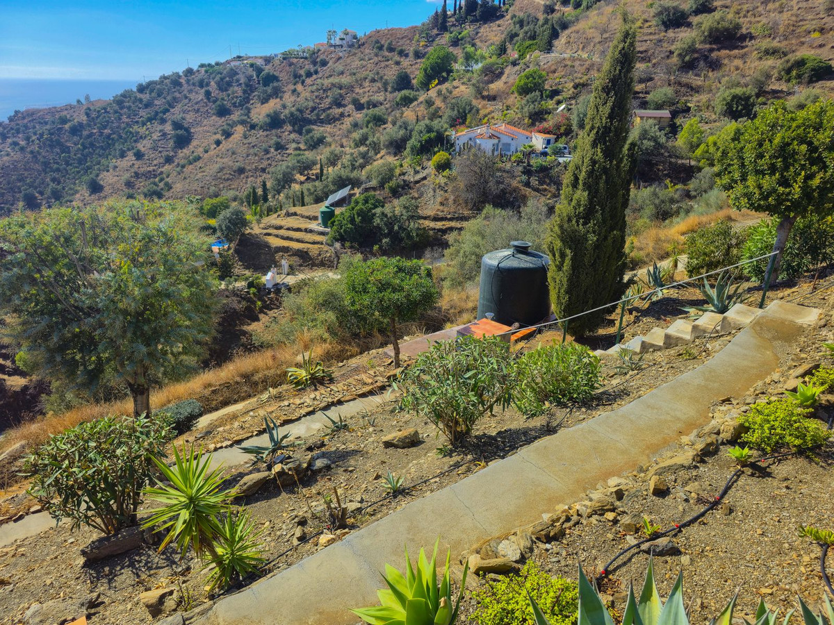 Property main view 54