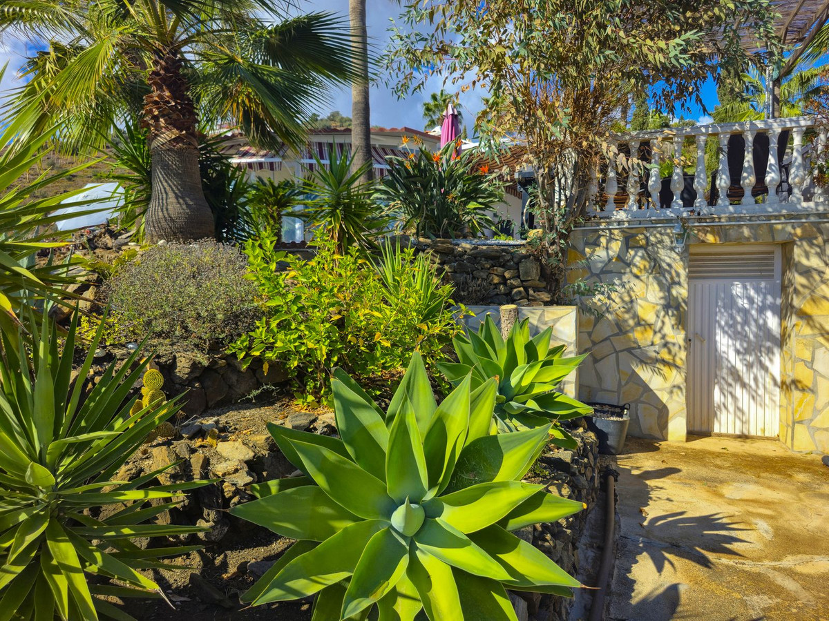 Property main view 60