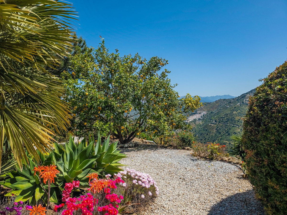 Property main view 60