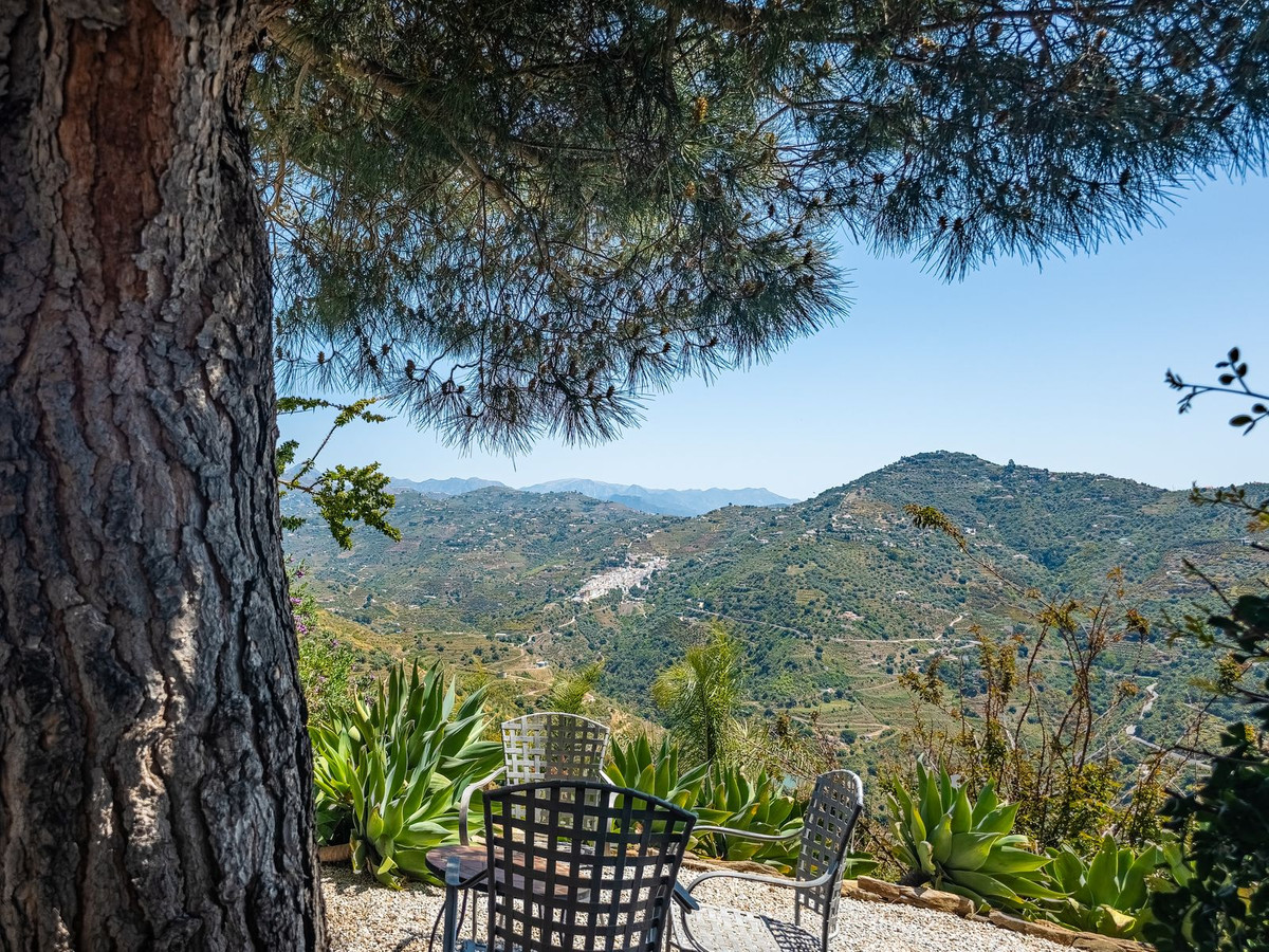 Property main view 61