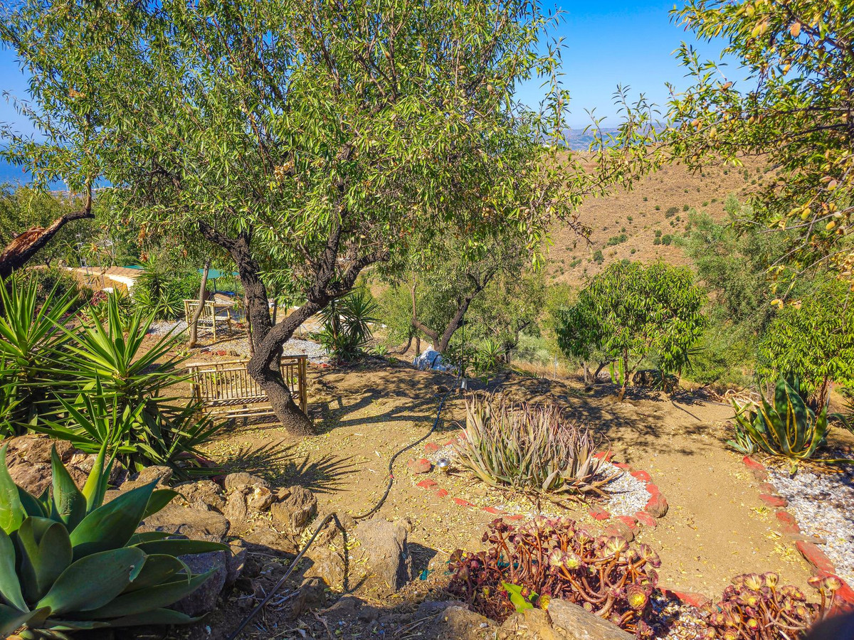 Property main view 65