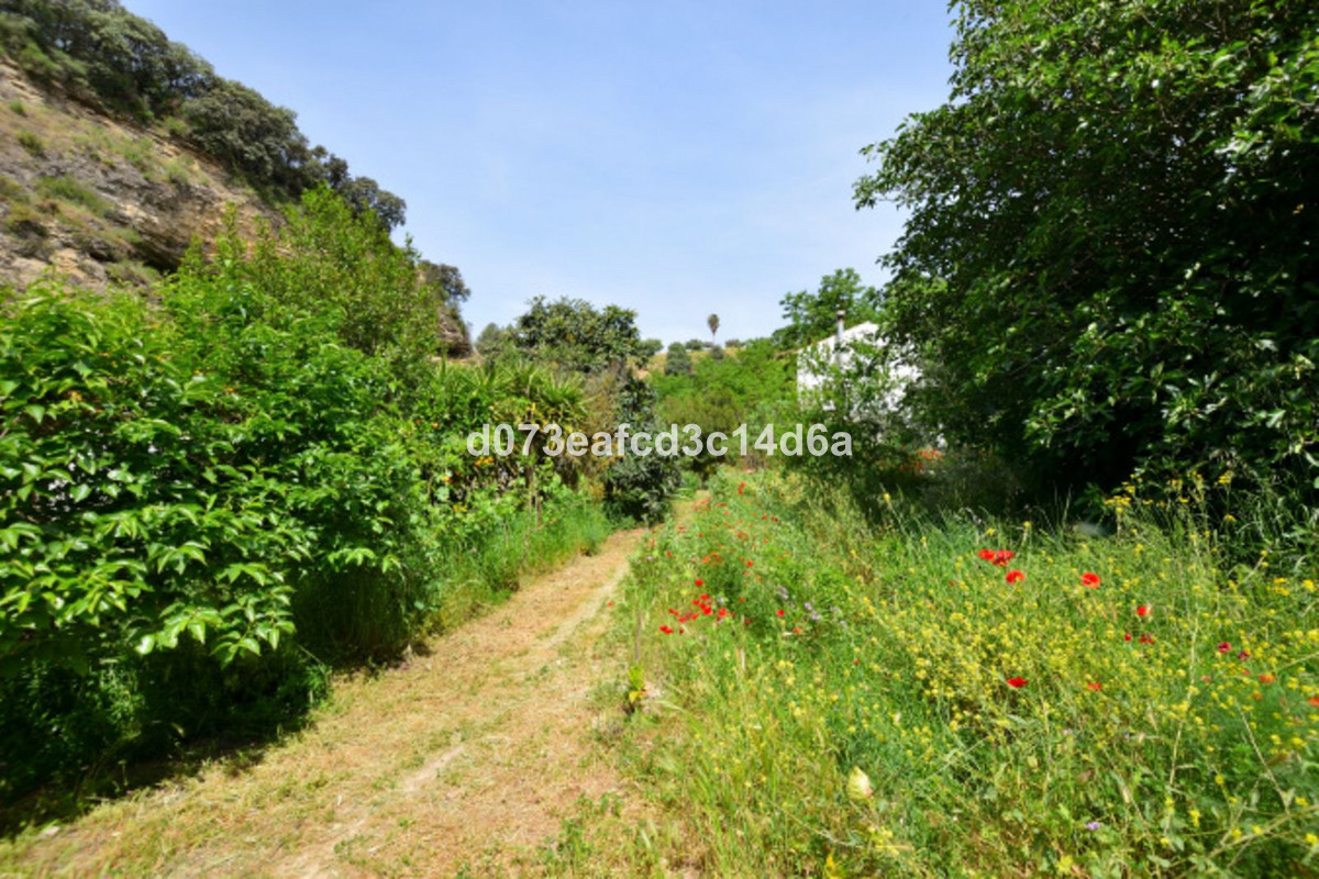 Property main view 32