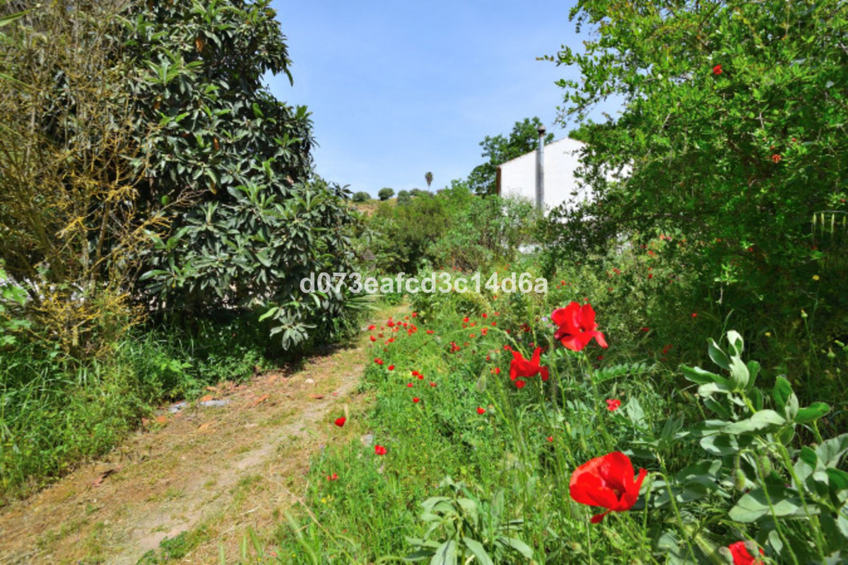 Property main view 33