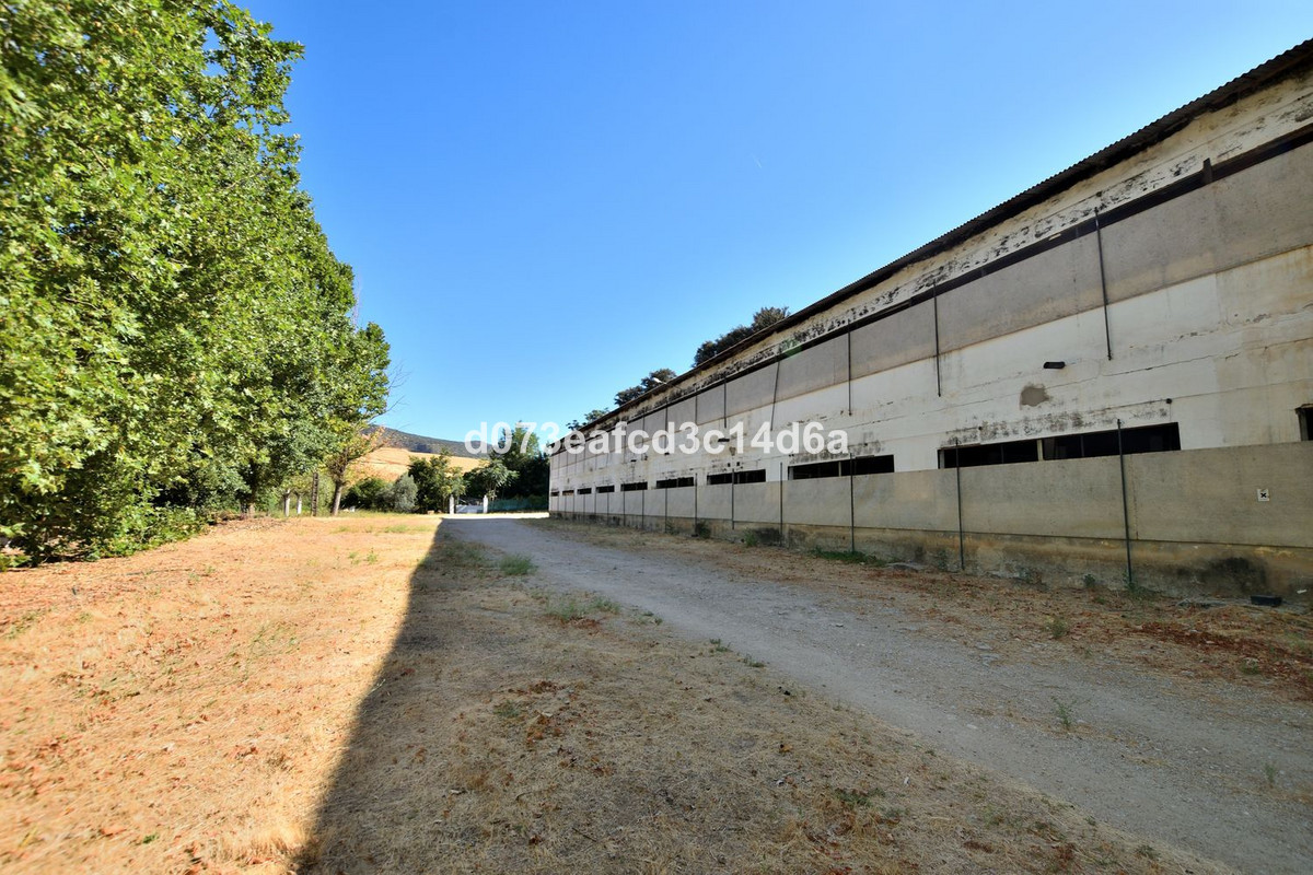 Huis te koop in Arriate | 2 slaapkamers H5452012