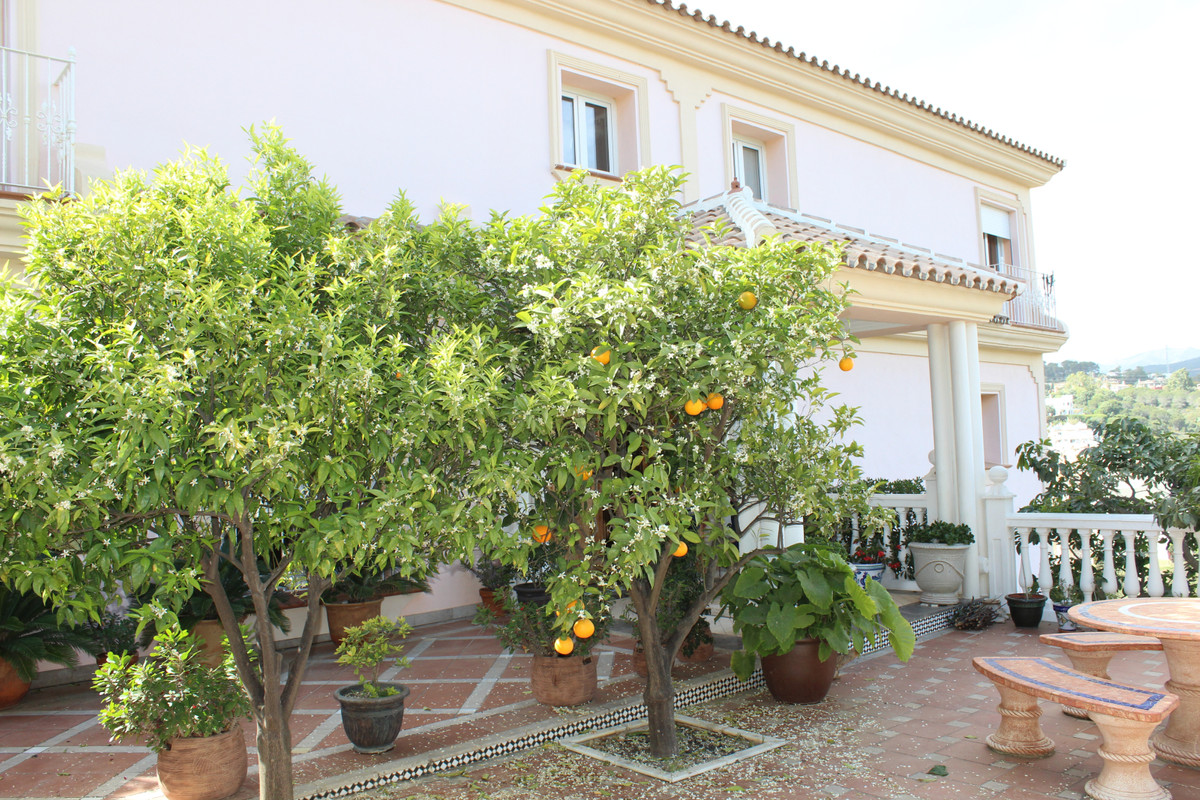 Vrijstaande Villa te koop in Artola | 7 slaapkamers H3989923