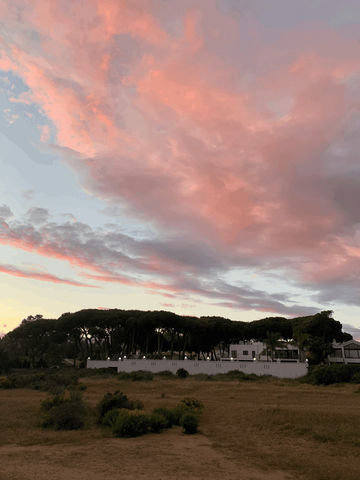 Vrijstaande Villa te koop in Artola | 8 slaapkamers H5259730