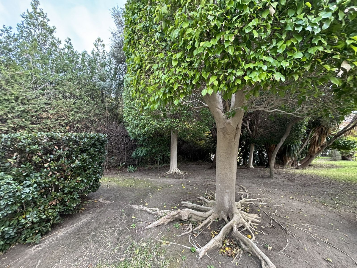 Vrijstaande Villa in Atalaya-71
