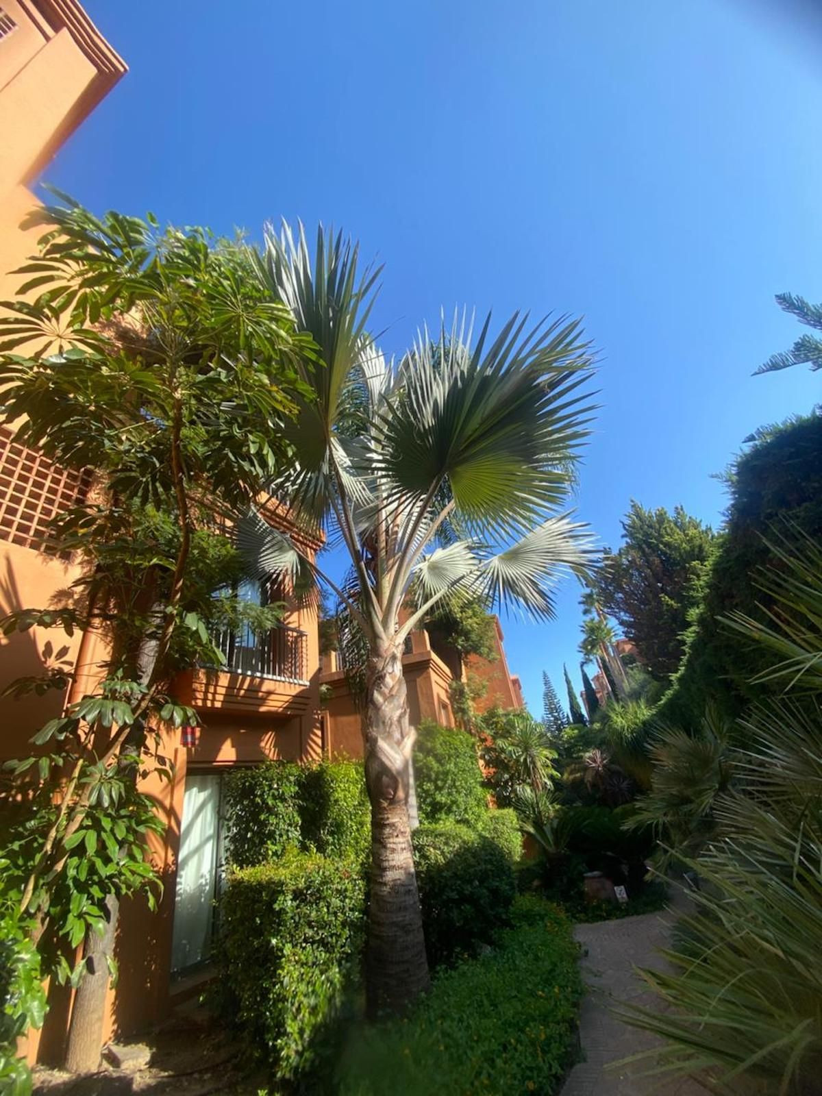 Property main view 27