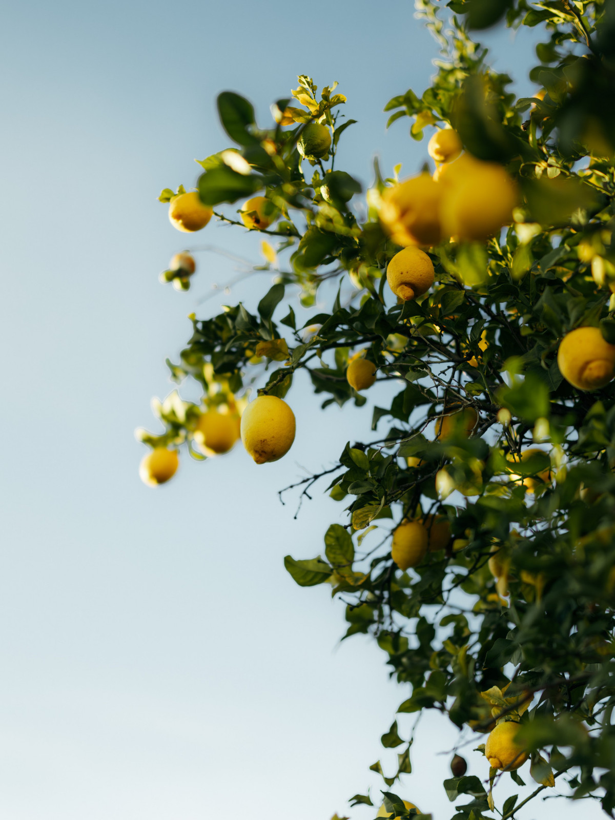 Huis te koop in Atalaya | 2 slaapkamers H5293300