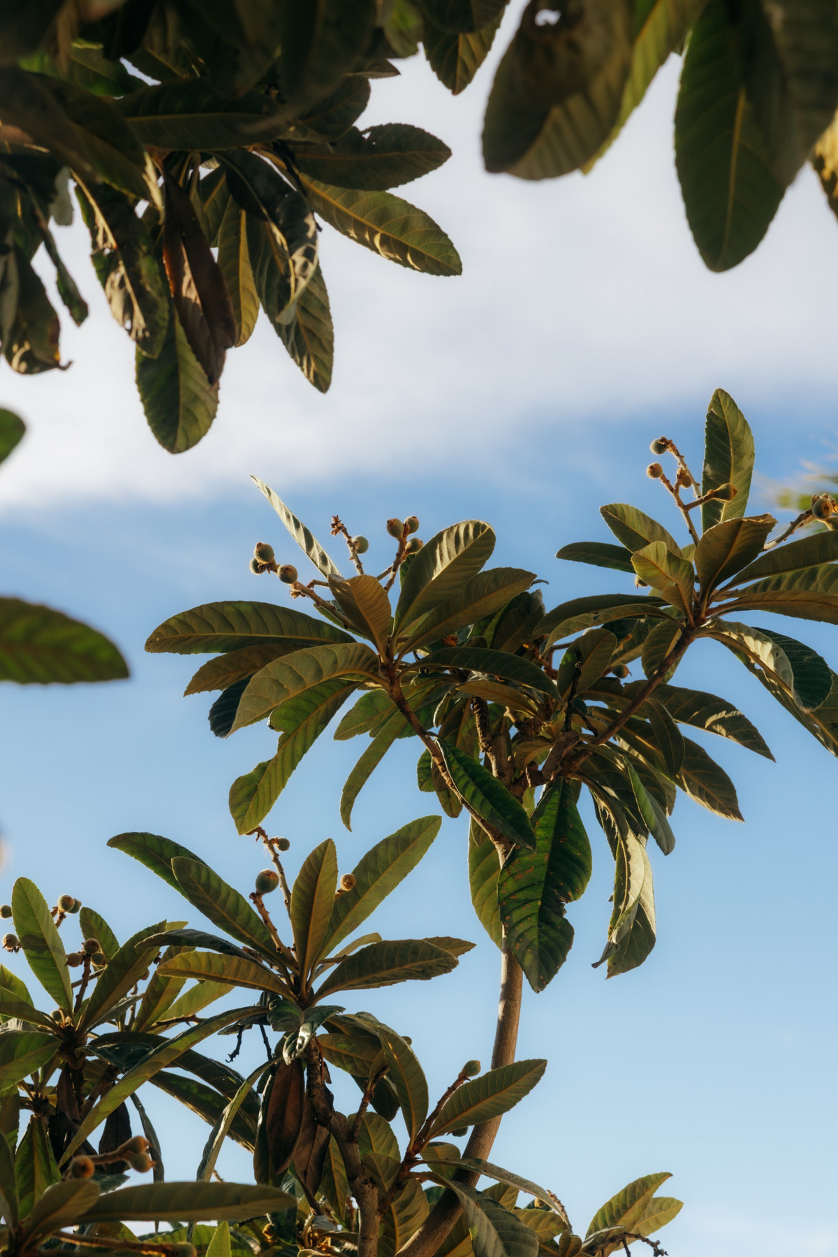 Huis te koop in Atalaya | 2 slaapkamers H5293300