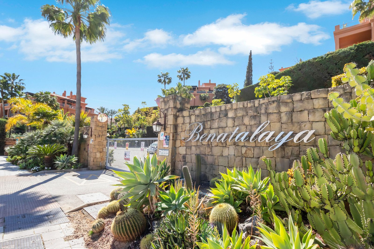 Property main view 41