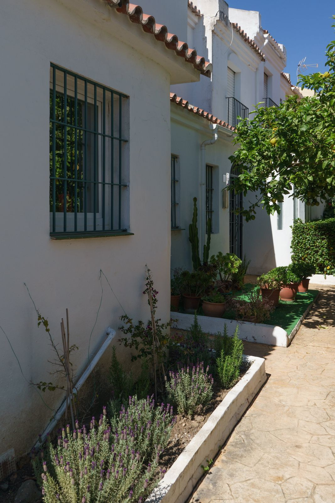 Huis te koop in Atalaya | 4 slaapkamers H5365273