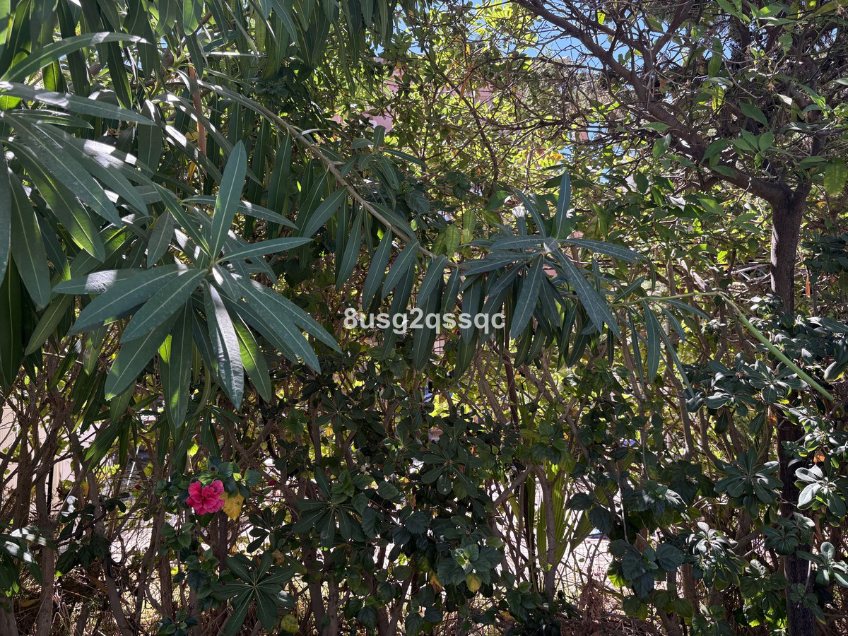 Huis te koop in Bel Air | 3 slaapkamers H5155927