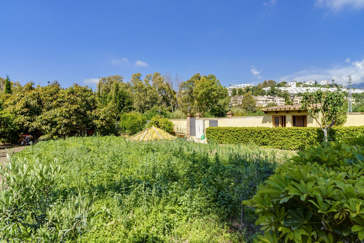 Property main view 24