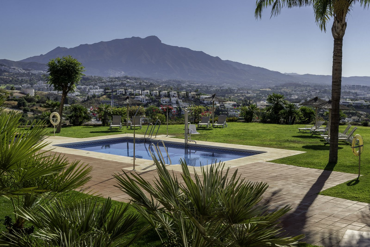 Property main view 44