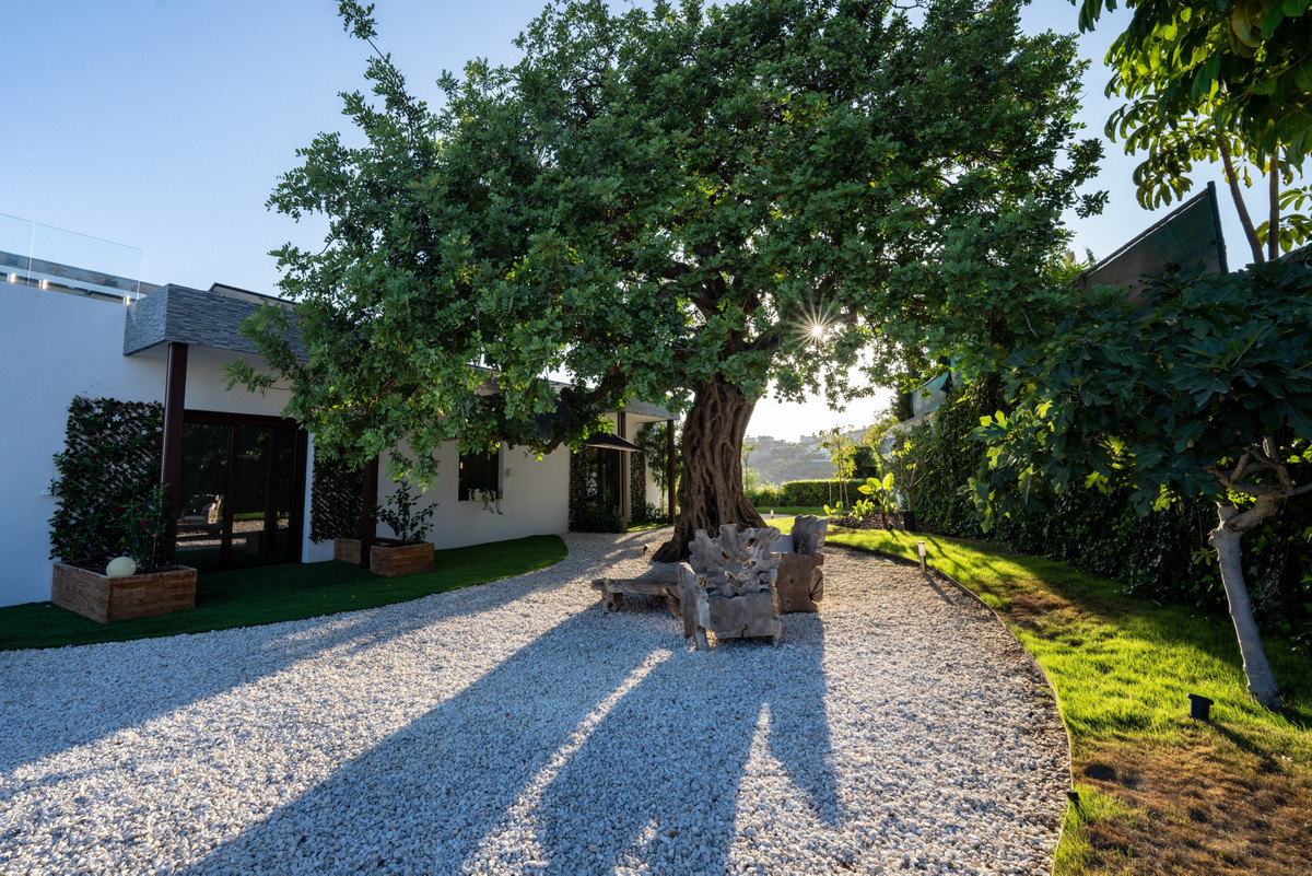 Property main view 25