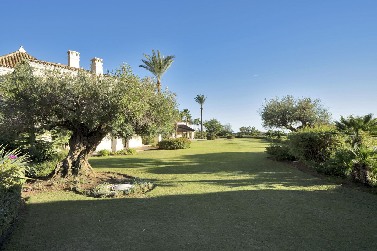 Property main view 37