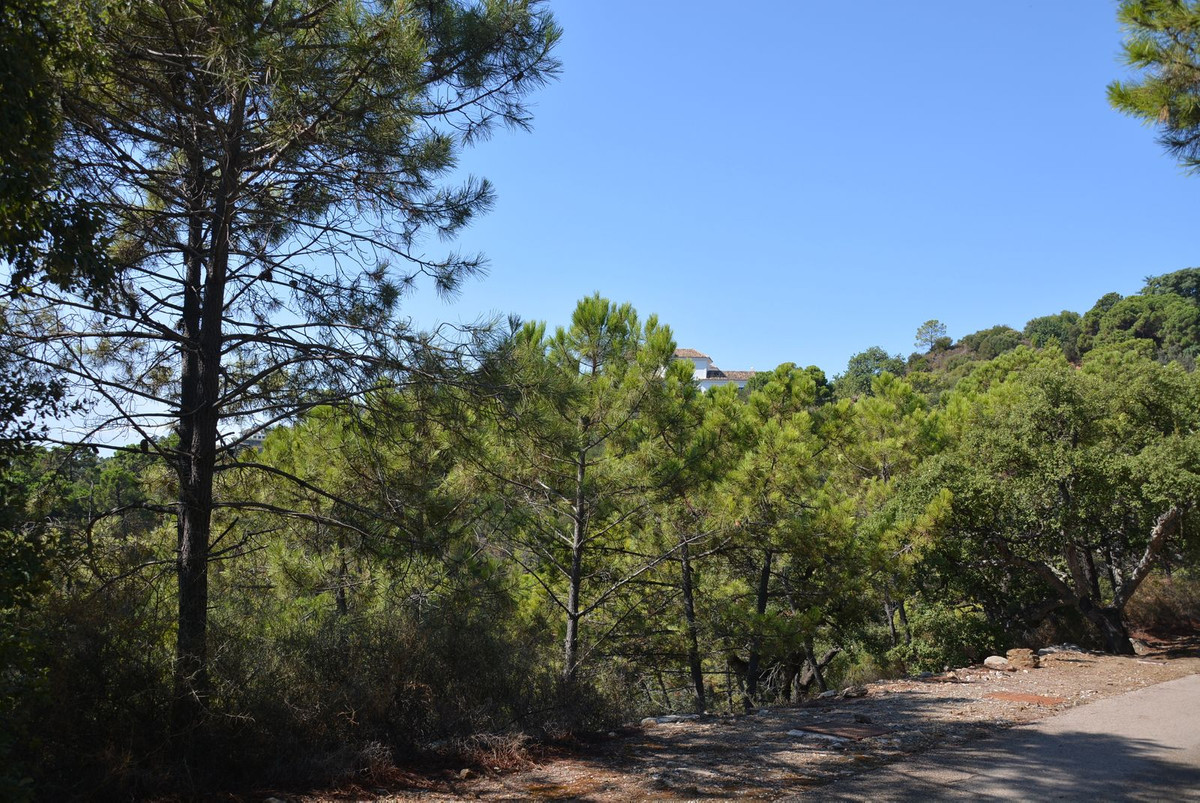 Property main view 12