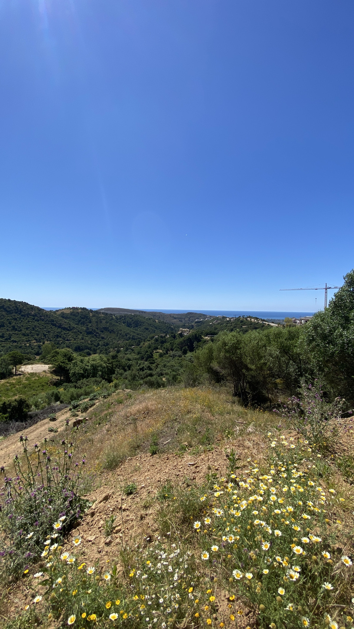 Property main view 10