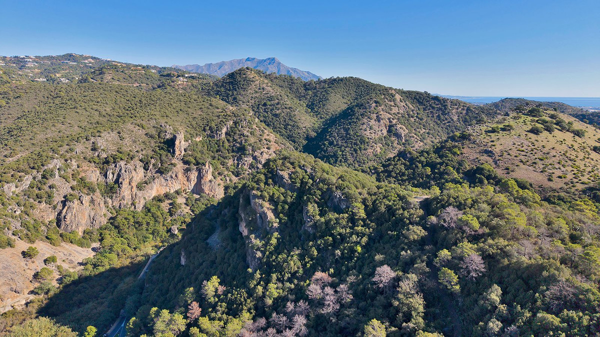 Property main view 50