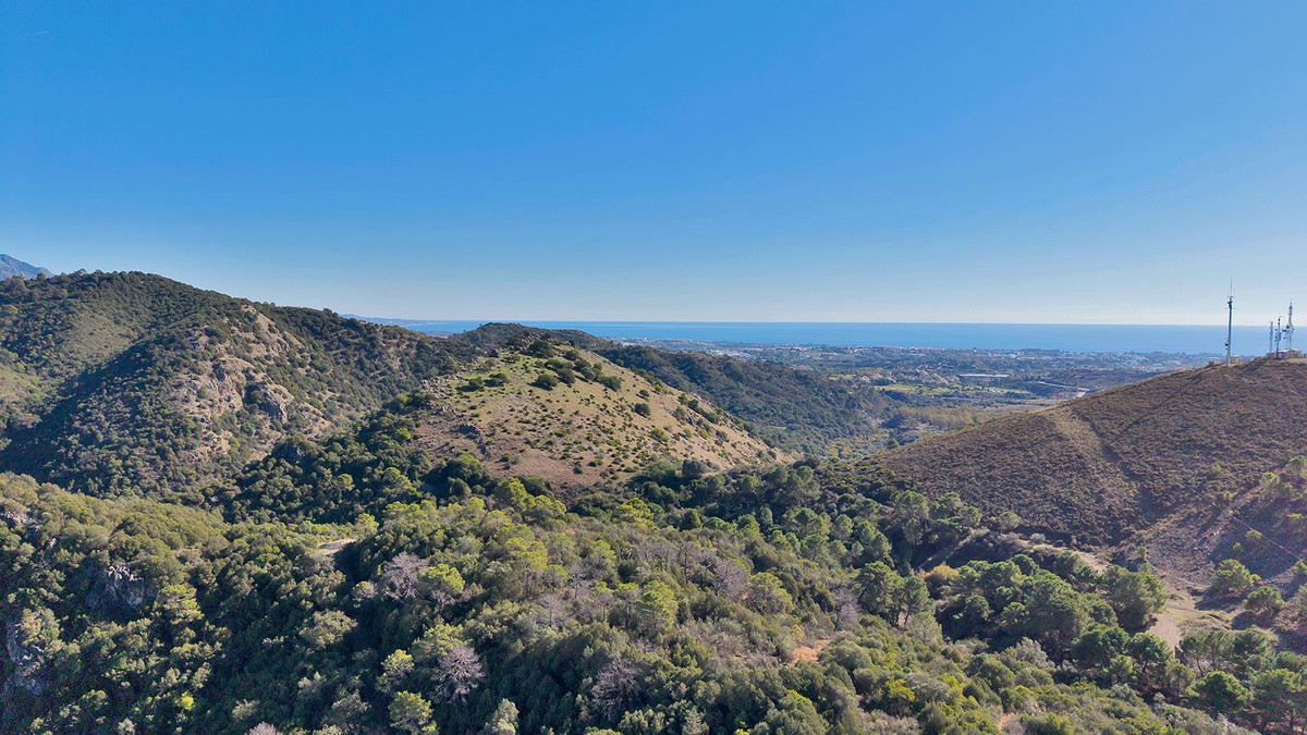 Property main view 51