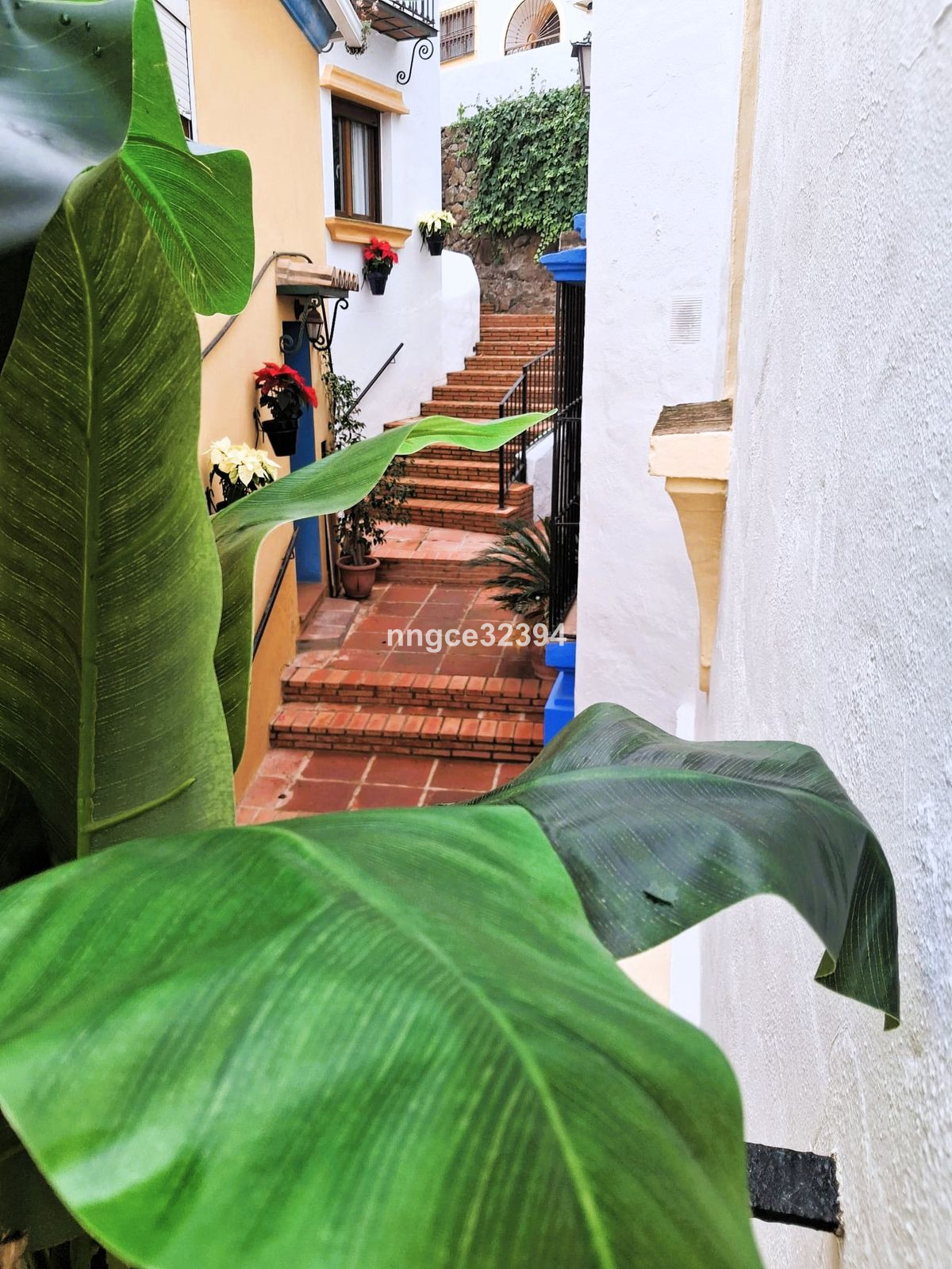 Property main view 37