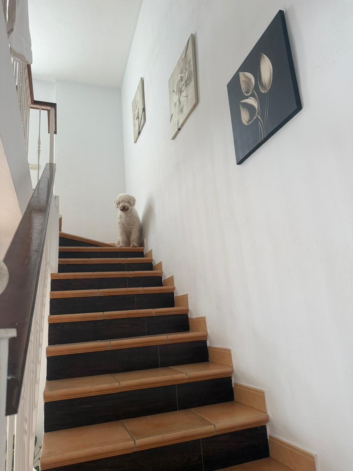 Huis te koop in Benahavís | 2 slaapkamers H5288809