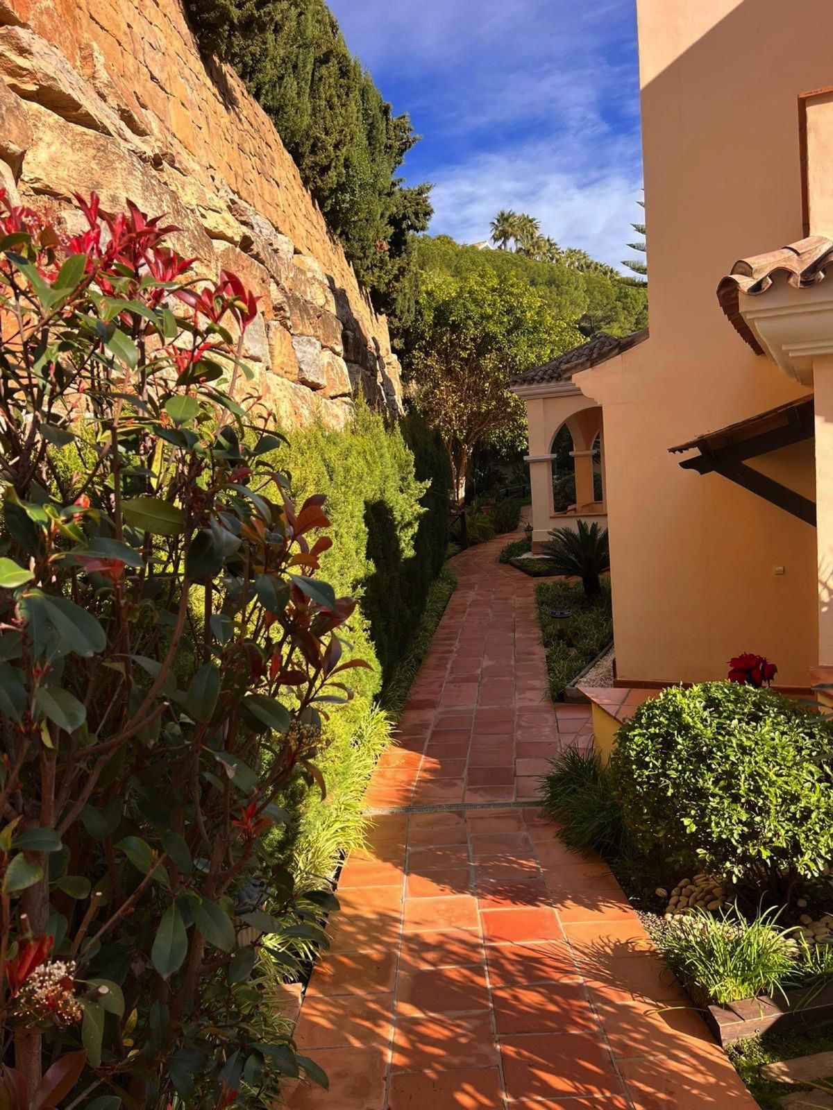 Property main view 7