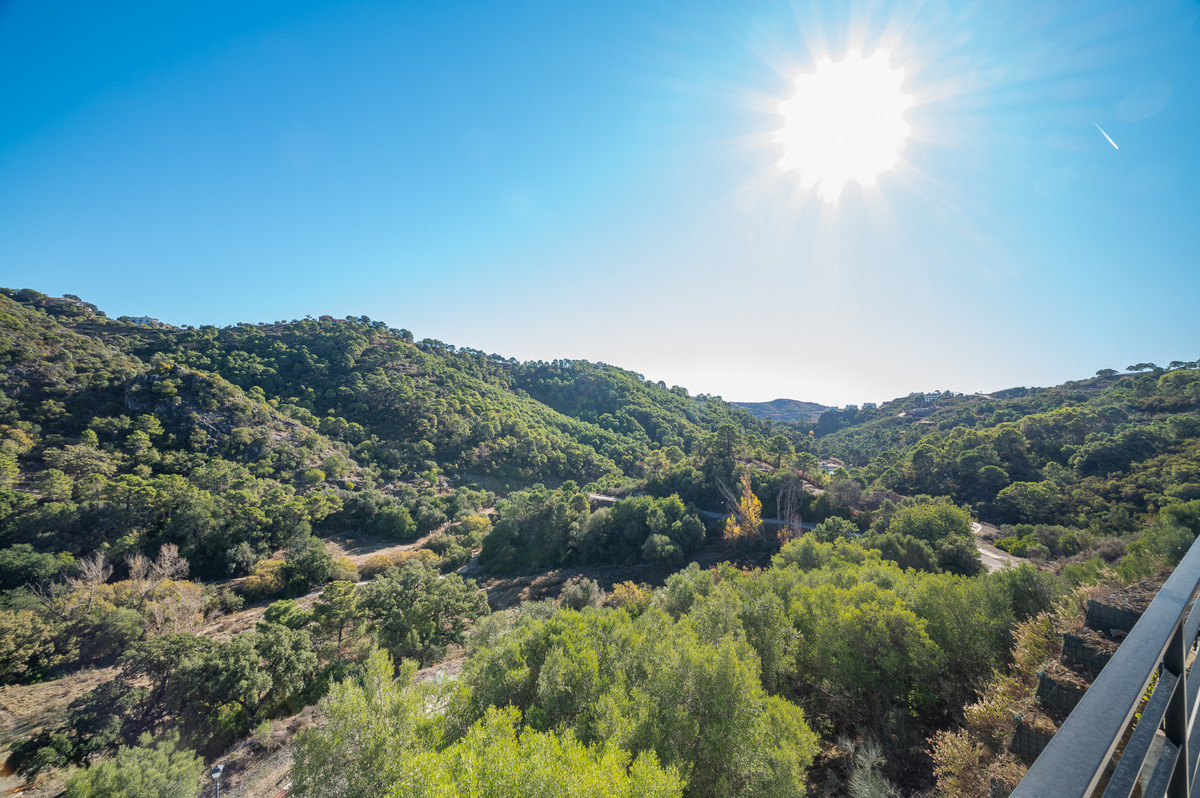 Property main view 53