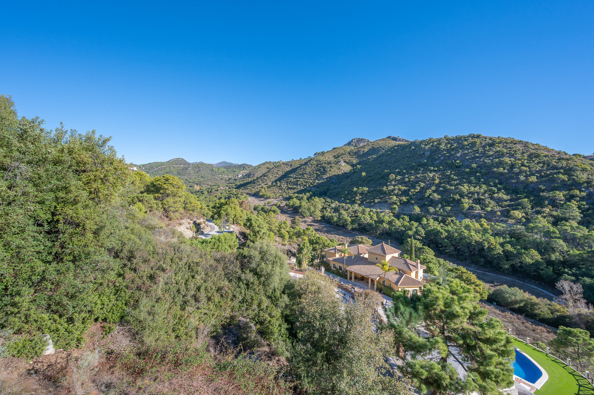 Property main view 60