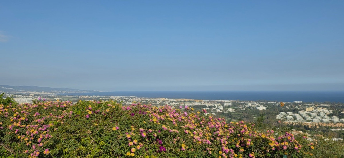 Property main view 19