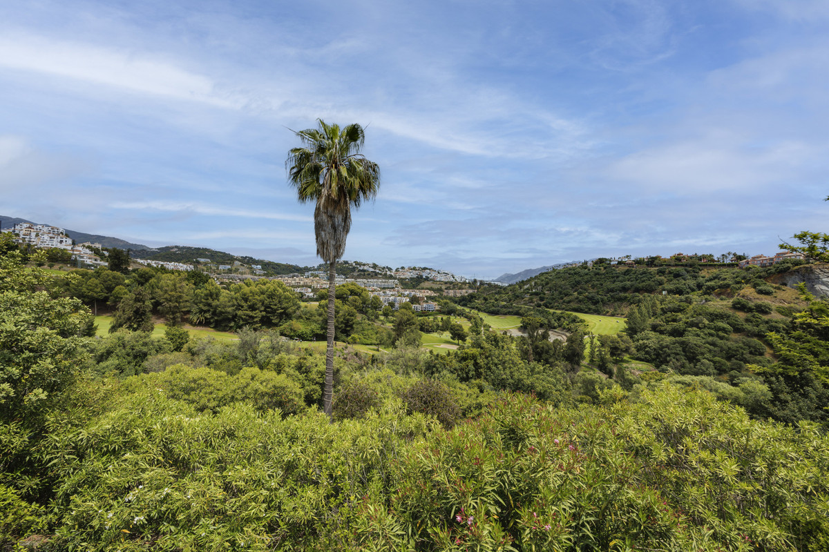 Property main view 28