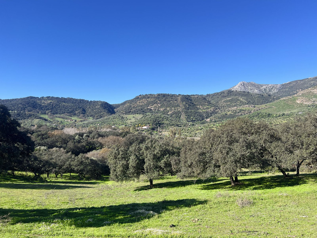 Finca - Cortijo in Benalauría-26