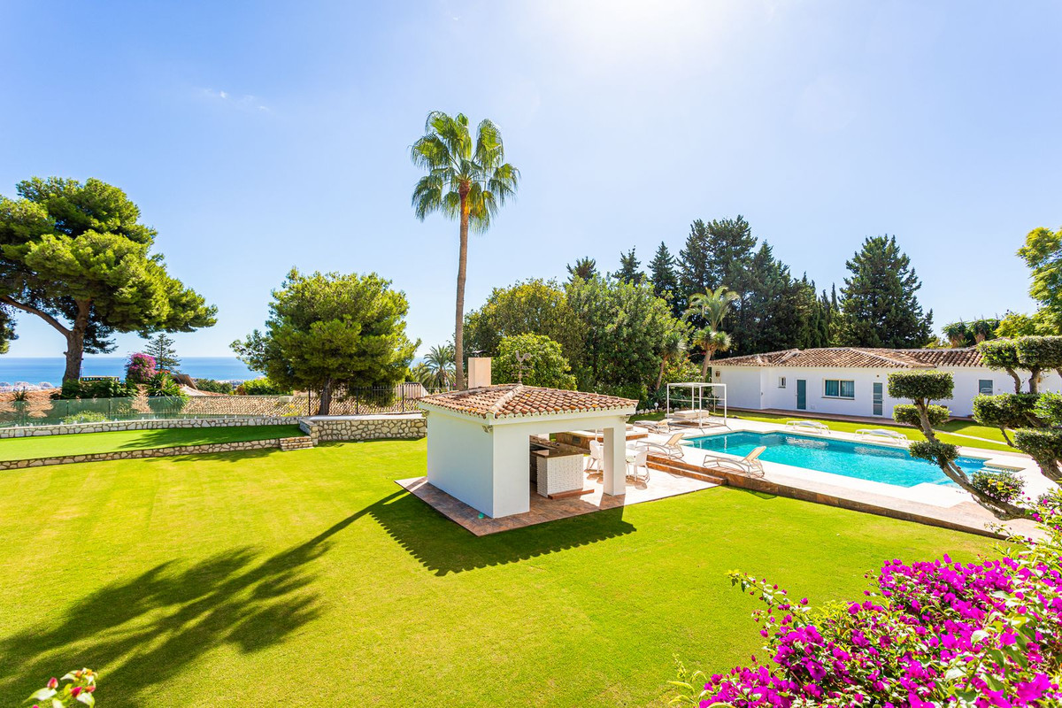 Property main view 50