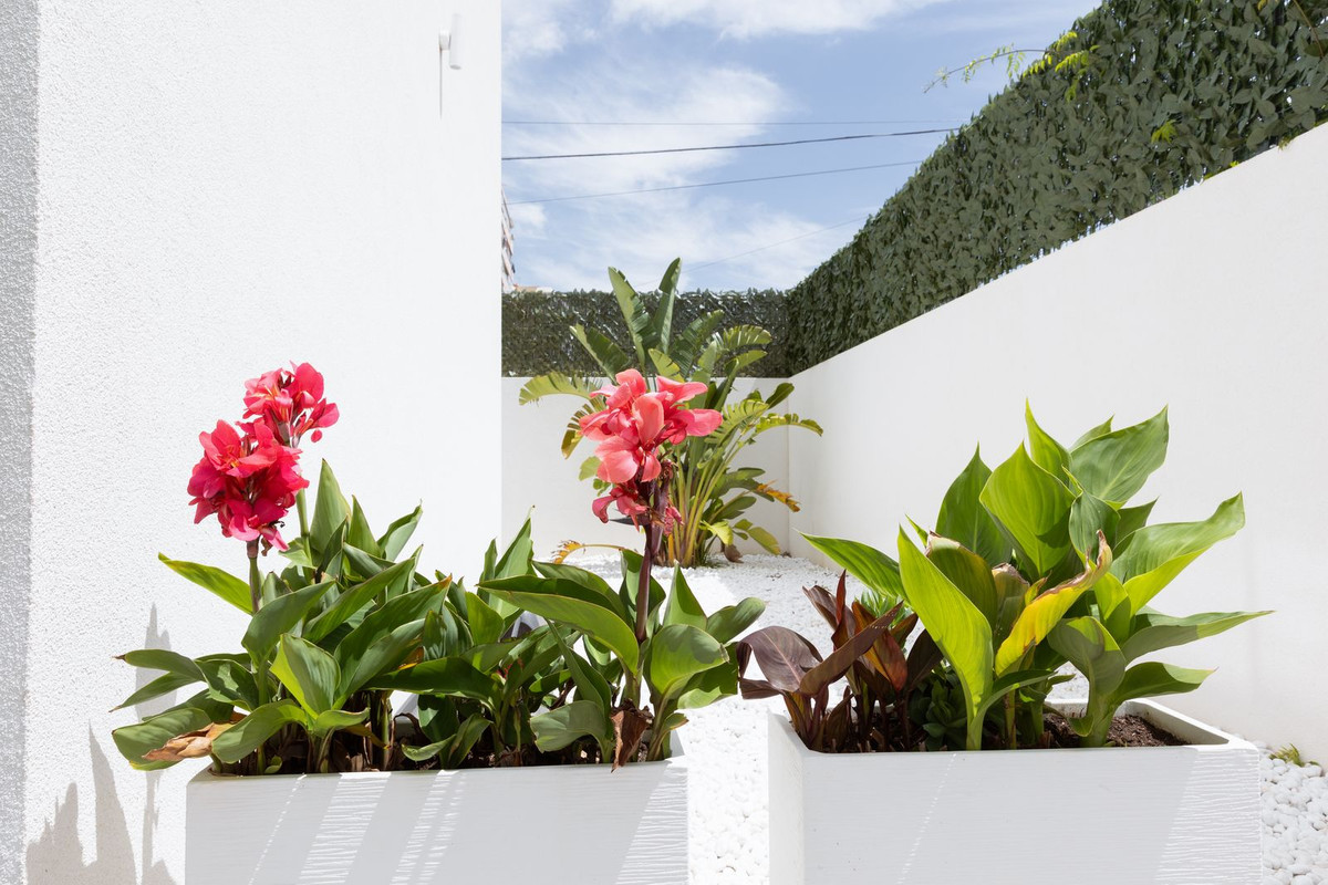 Property main view 40