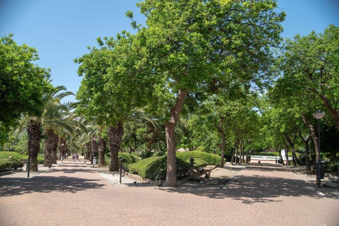 Property main view 21