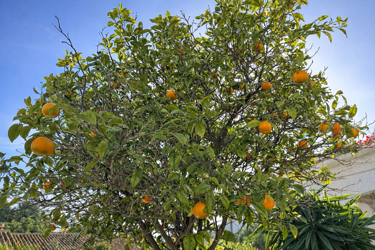 Property main view 20