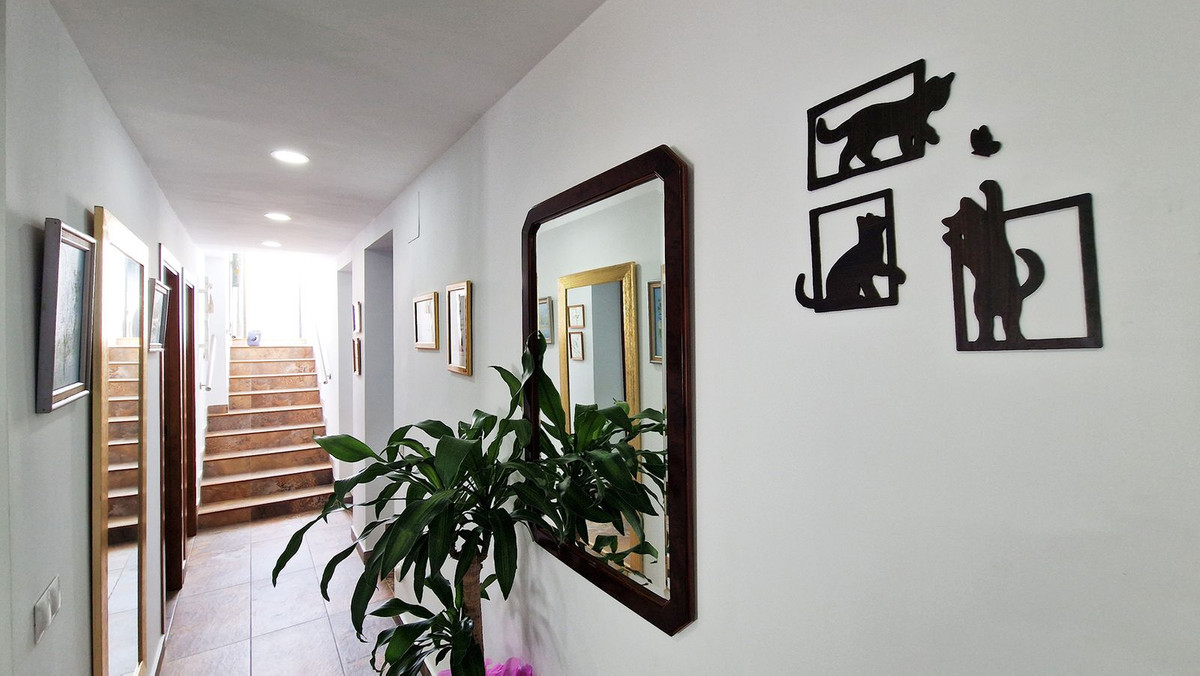Property main view 14