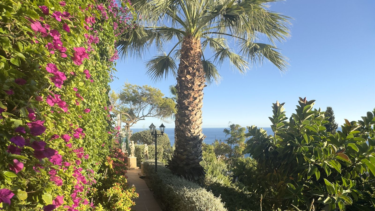 Property main view 61