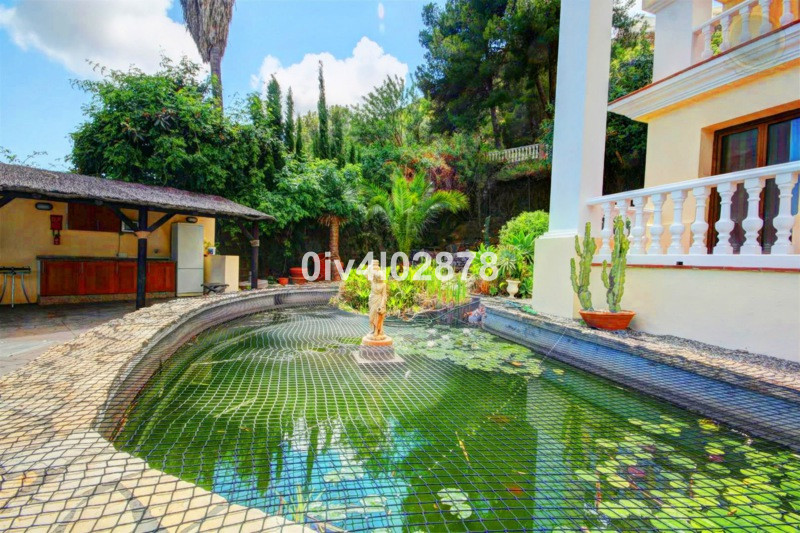 Property main view 39