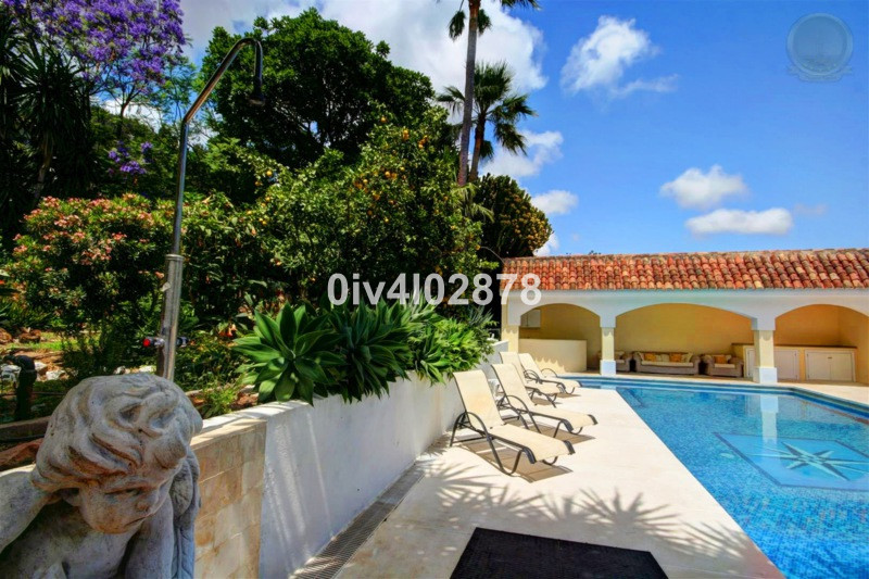 Property main view 41