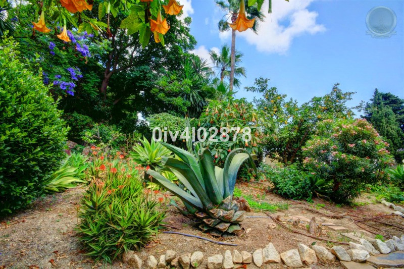 Property main view 44