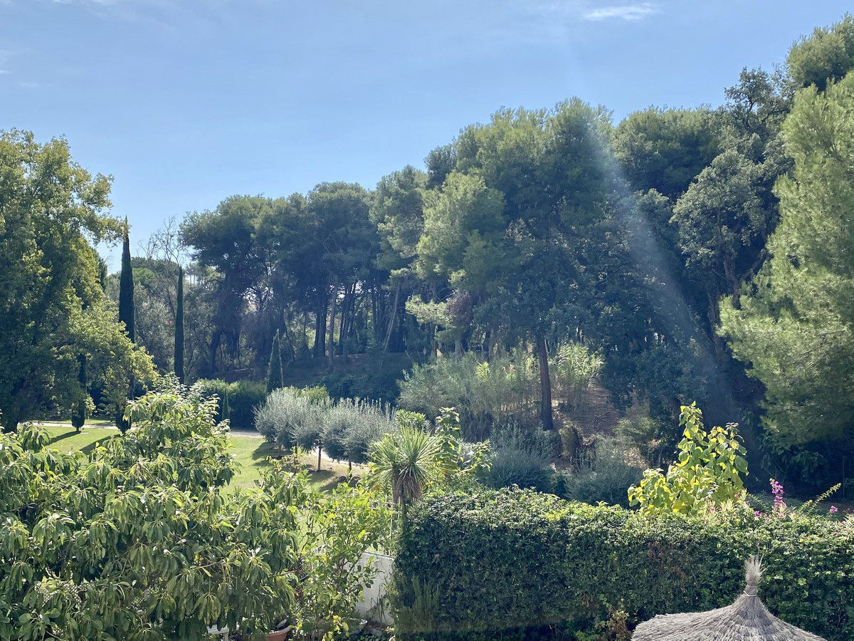 Property main view 23