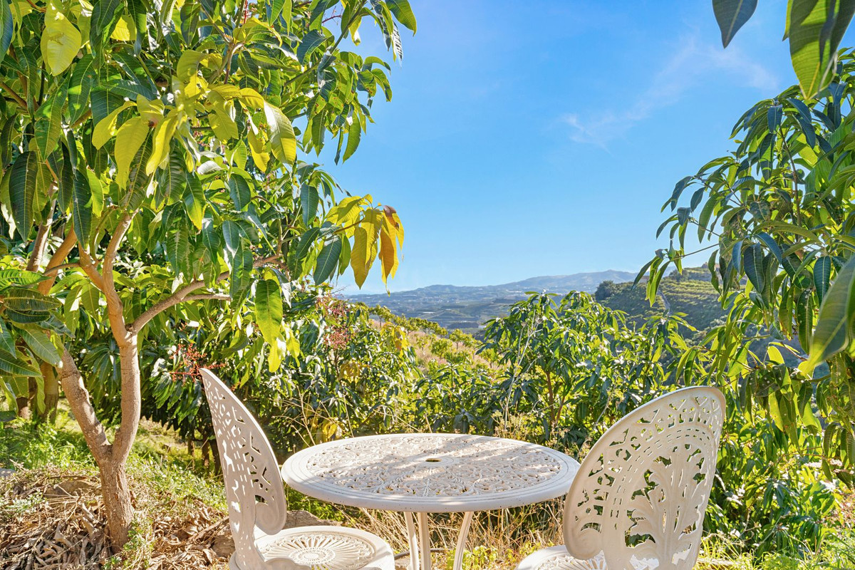 Finca - Cortijo in Benamargosa-38