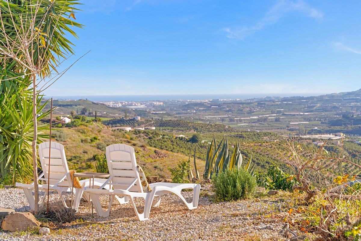 Finca - Cortijo in Benamargosa-46